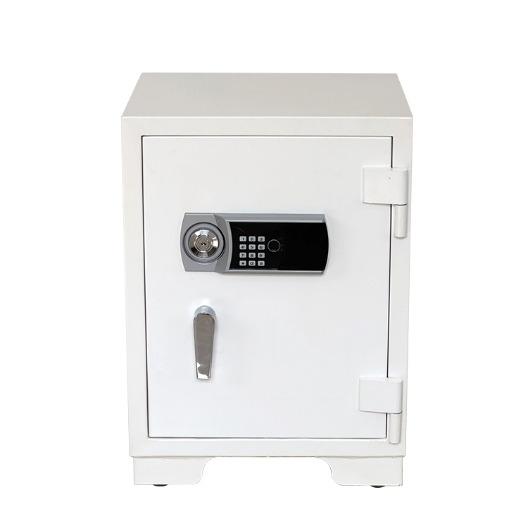 Bank Home Office Deposit Secur - Lockbox Key Secure reseña y precio